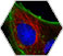 Proteomics