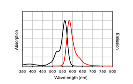 Figure 1. Absorption and emission spectra of CF?568 conjugated to goat anti-mouse IgG in PBS.