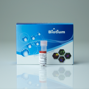 GelGreen® Nucleic Acid Gel Stain - Biotium