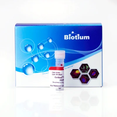 PAGE GelRed Nucleic Acid Gel Stain
