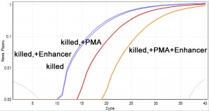 E. coli that were killed by mild heat shock (56C for 3 hours) were treated with 25 uM PMA and/or 1X PMA Enhancer, followed by exposure with PMA-Lite and DNA isolation. Real-time PCR was performed using Fast EvaGreen Master Mix and primers that amplify a 377-bp fragment of E. coli DNA. Dead cells treated with PMA and Enhancer showed a significant further delay in amplification than dead cells treated with PMA alone. Enhancer treatment without PMA had no effect on dead cell DNA (or live cell DNA, data not shown).