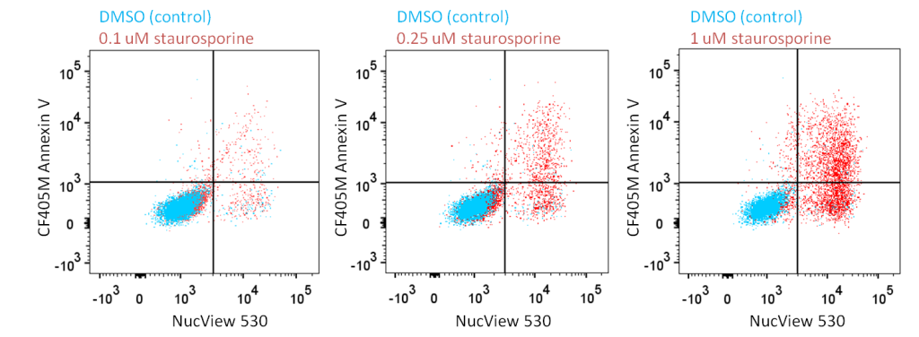 NucView 530, CF405M Annexin V staurosporine dose curve