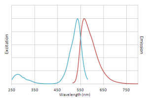 Excitation and emission spectra of NucView 530 dye with dsDNA.