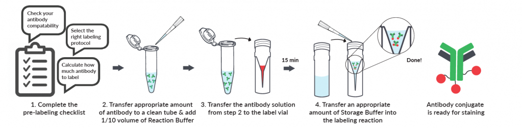 Overview of Mix-n-Stain Labeling Protocol