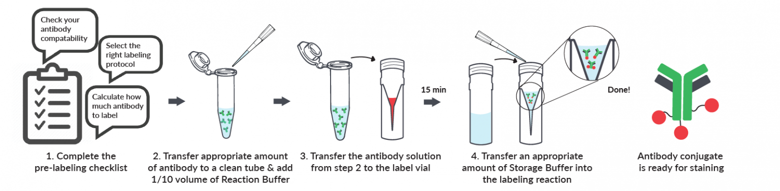 Mix-n-Stain™ CF® Dye Antibody Labeling Kits - Biotium