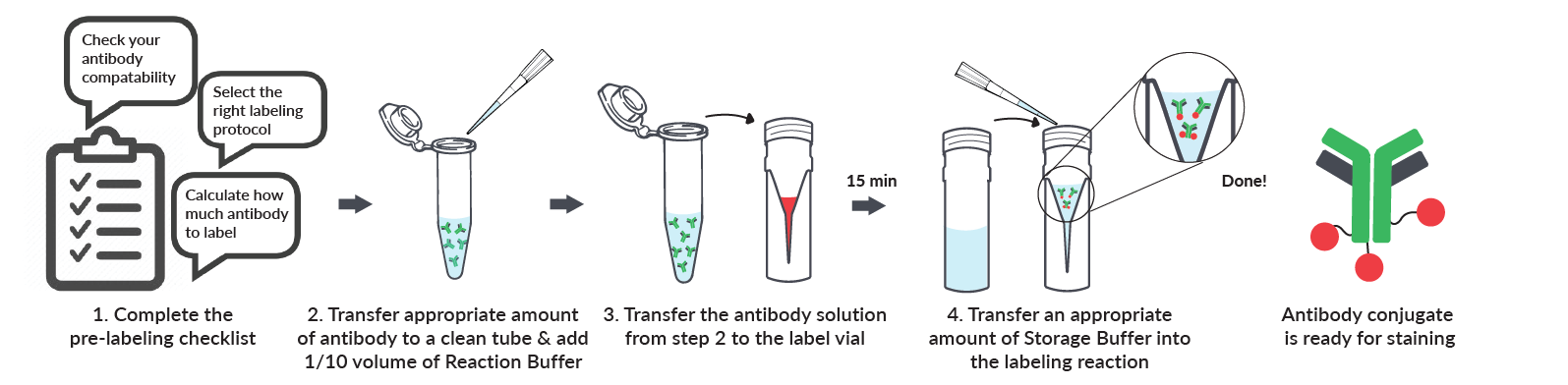 Overview of Mix-n-Stain Labeling Protocol
