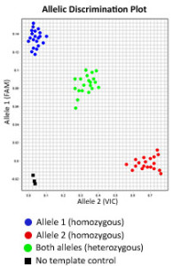 Allelic Discrimination Plot