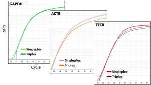 Probe triplex PCR