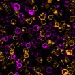 CellBrite® Cytoplasmic Membrane Dyes - Biotium