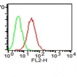 Monoclonal anti CD34 (ICO 115)