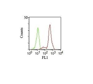 Monoclonal anti CD11c (HC1/1)