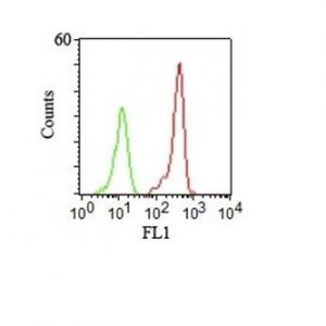 Monoclonal anti CD46 (122.2)
