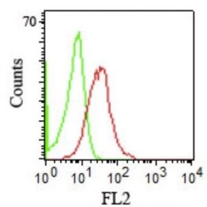 Monoclonal anti CD1b (RIV12)