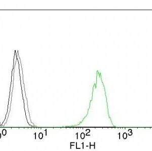 Monoclonal anti CD71 (66IG10)