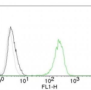 Monoclonal anti CD71 (TFRC/1059)