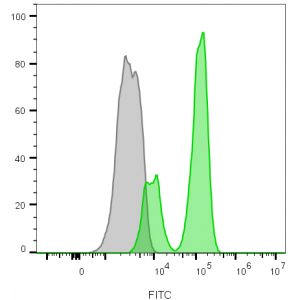 CD3e Monoclonal Mouse Antibody (B-B12)