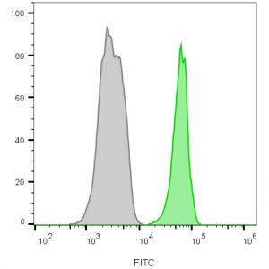 CD45 / LCA Monoclonal Mouse Antibody (135-4C5)