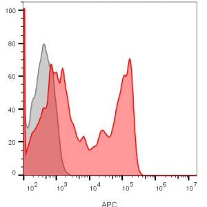 CD8 Monoclonal Mouse Antibody (C8/1035)