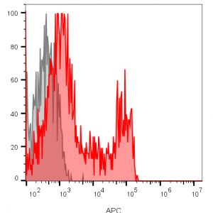 CD8 Monoclonal Mouse Antibody (RIV11)