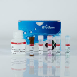 PMA Real-Time PCR Bacterial Viability Kit – E. coli (uidA) - Biotium