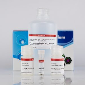 AccuGreen™ High Sensitivity dsDNA Quantitation Kit - Biotium