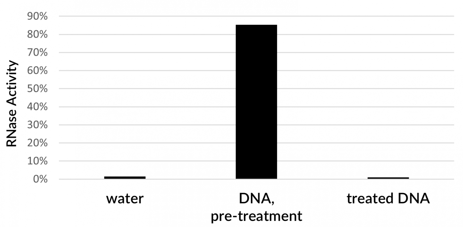RNaseFree Calf Thymus DNA, 1 mg/mL Biotium