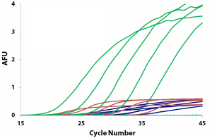 qPCR