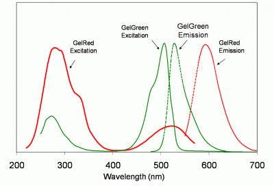 gel dna biotium excitation emission spectra nucleic acid stains etbr