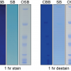 https://biotium.com/wp-content/uploads/2017/01/OneStepBlue-Comparison-Figure-100x100.jpg