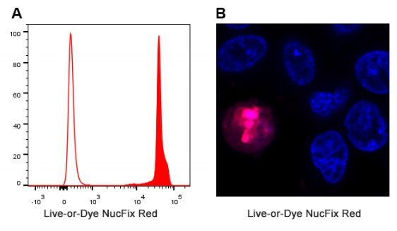 live or dye nucfix red