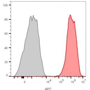 CD81 / TAPA-1 Monoclonal Mouse Antibody (1.3.3.22)