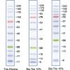 Peacock™ Prestained Protein Marker - Biotium