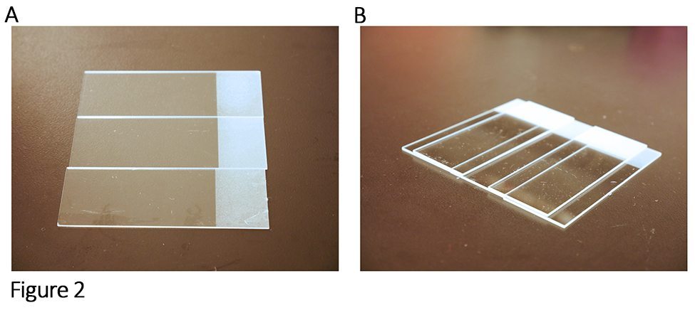 Setting up the agarose pad chamber