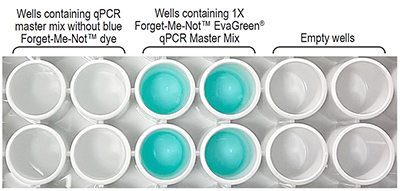 Figure 1: Forget-Me-Not™ EvaGreen® qPCR Master Mix contains a low concentration of an inert blue dye, which allows the user to visually distinguish wells containing reaction mix from empty wells, and can thereby reduce pipetting errors, saving time and reagents.
