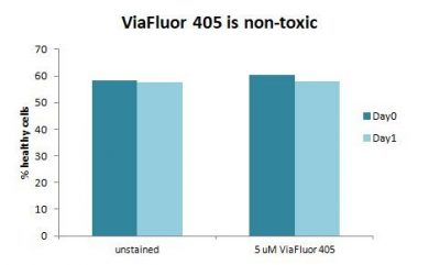 viaflour cell proliferation