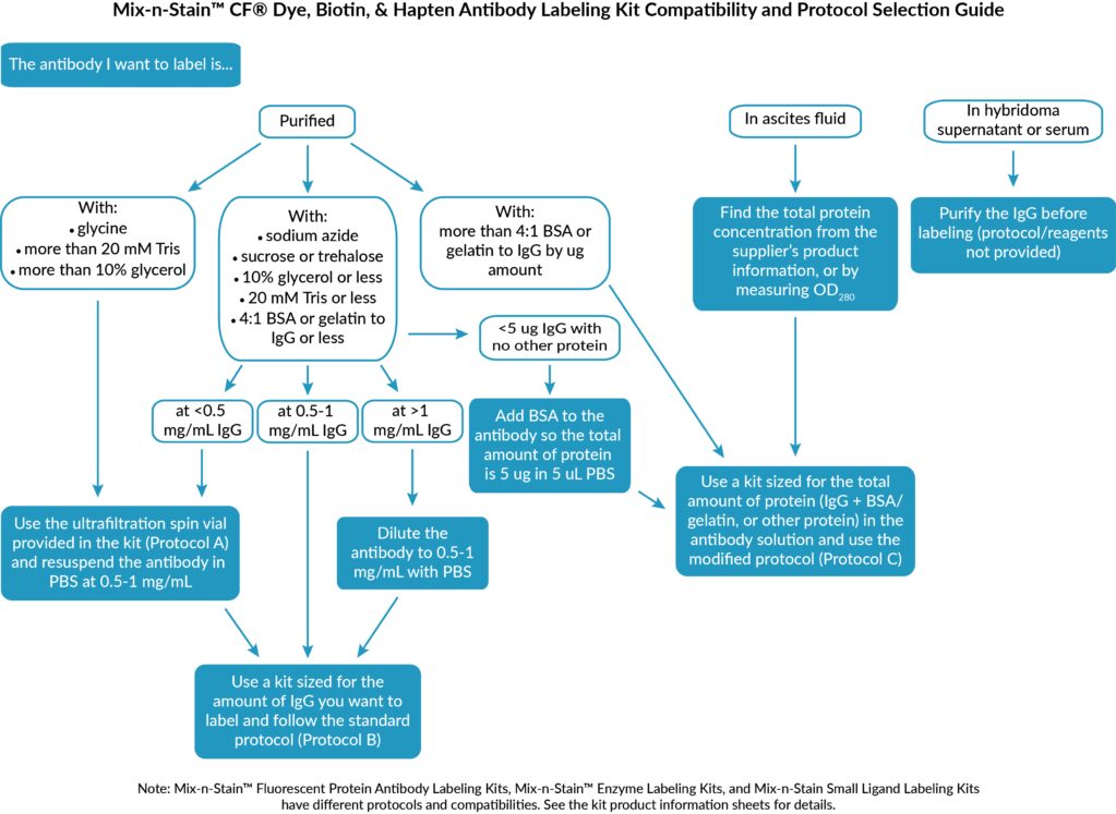 Antibody Labeling Guide