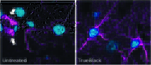 Quench Rbc Autofluorescence Effective quenching of red blood cell autofluorescence in tissue ...