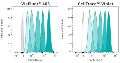 cell proliferation dye