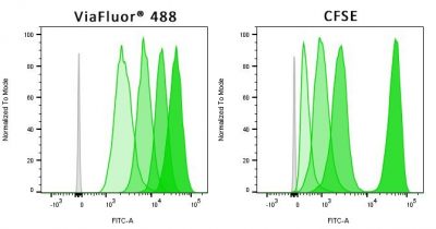 cell proliferation dye for FITC