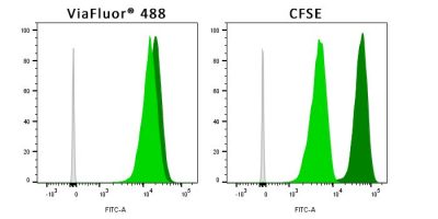 viafluor fixability vs cfse