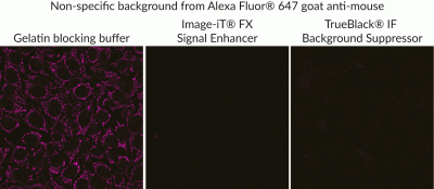 TrueBlack Background Suppressing System Background Suppresor vs Image-iT FX Signal Enhancer