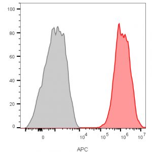 CD81 / TAPA-1 Recombinant Monoclonal Rabbit Antibody (C81/2885R)