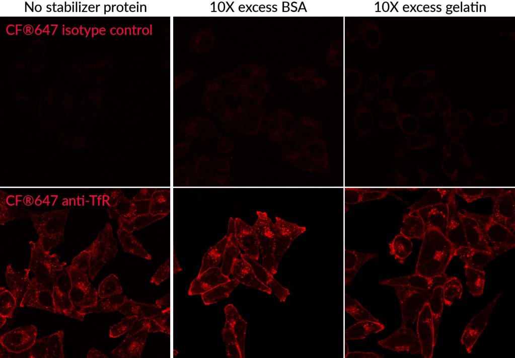 Mix-n-Stain™ CF® Dye Antibody Labeling Kits - Biotium