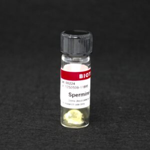 Spermine NONOate