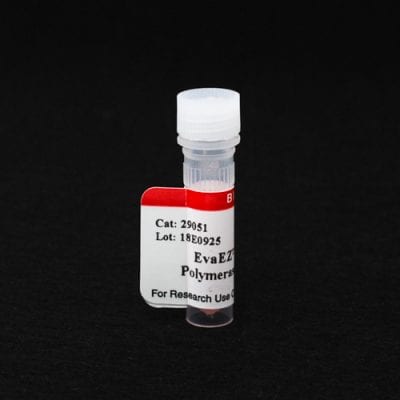 EvaEZ™ Fluorometric Polymerase Activity Assay Kit