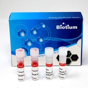 Viability/Cytotoxicity Assay Kit for Animal Live & Dead Cells