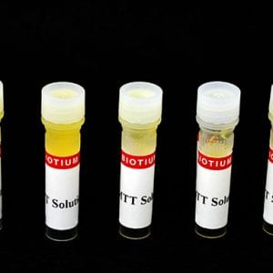 MTT Cell Viability Assay Kit