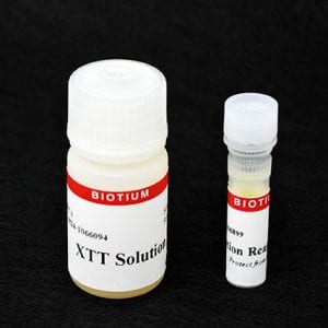 XTT Cell Viability Assay Kit