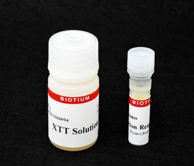 XTT Cell Viability Assay Kit