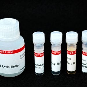 Caspase-3 DEVD-R110 Fluorometric and Colorimetric Assay Kit